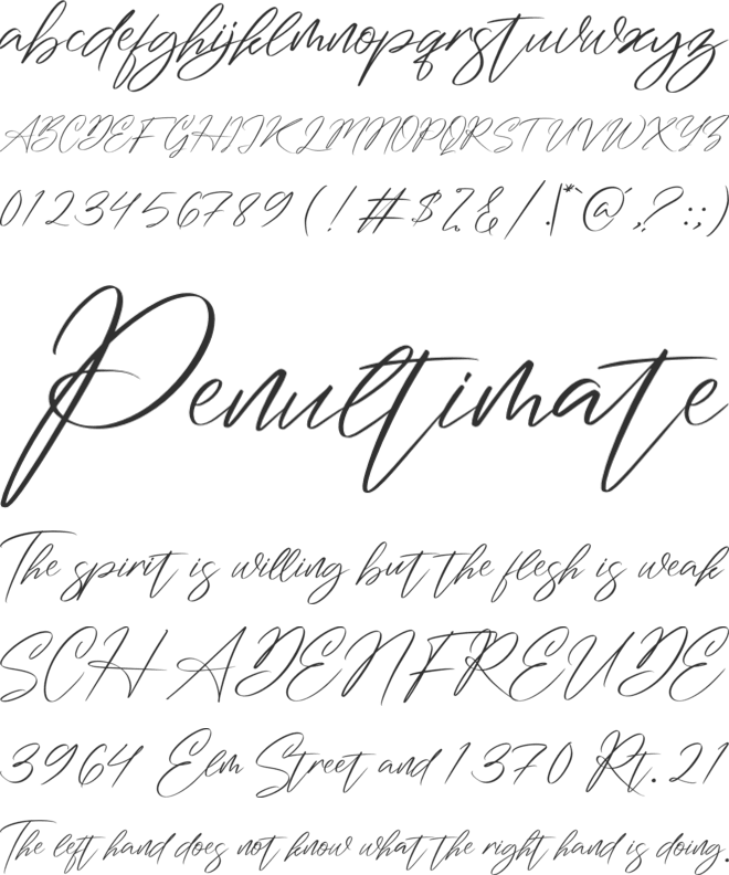 Washington Signature font preview