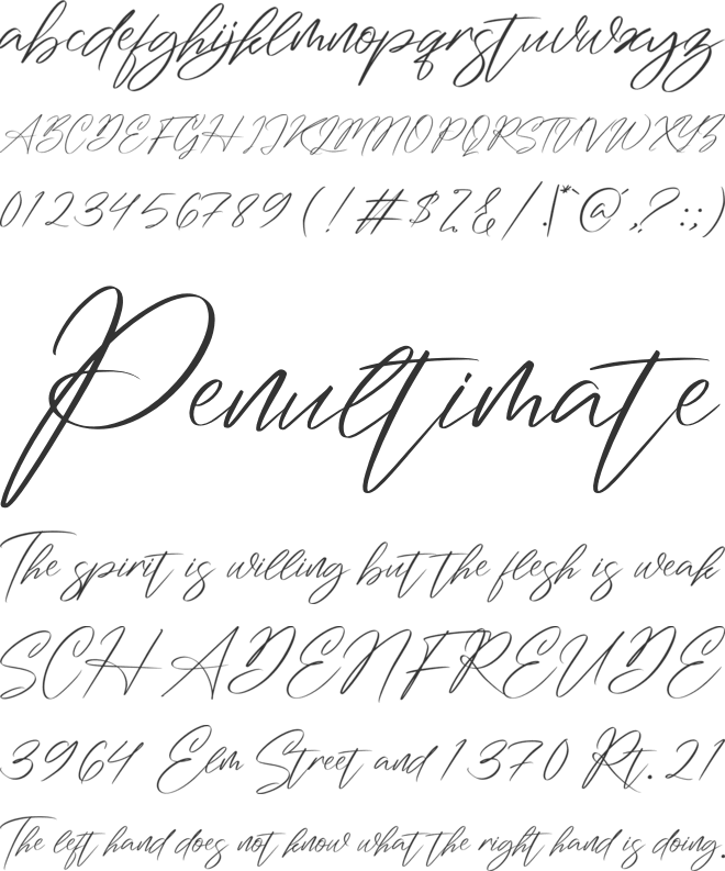 Washington Signature font preview