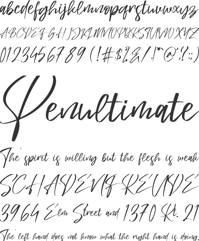 Mastille Attedro font preview