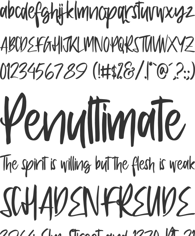 ventta watter font preview