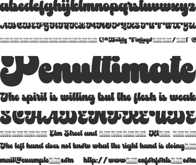Boldy Vintage Personal use font preview