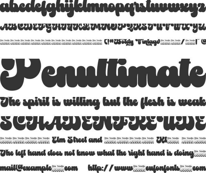 Boldy Vintage Personal use font preview