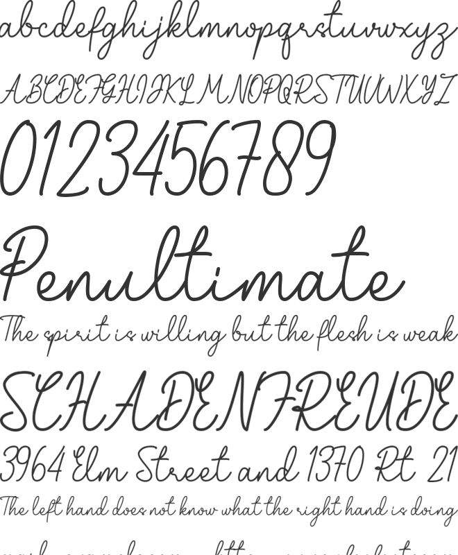 Ruellia font preview
