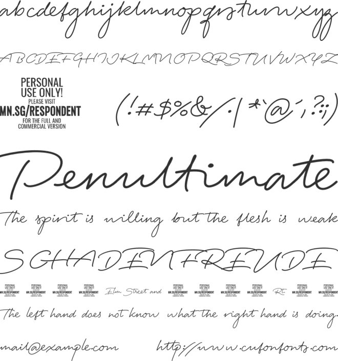 Respondent PERSONAL USE ONLY font preview