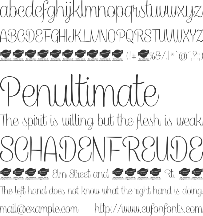 Caneletter Script  Personal font preview