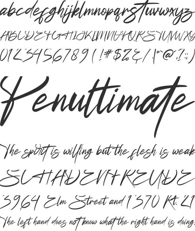 Futuristic Signature font preview