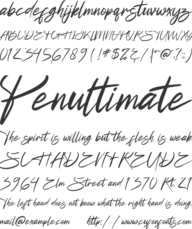 Futuristic Signature font preview