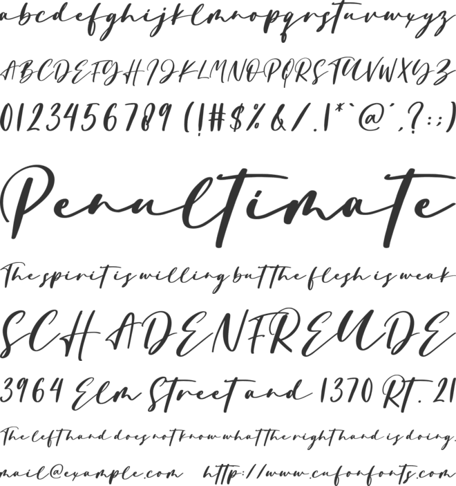 Portrait font preview