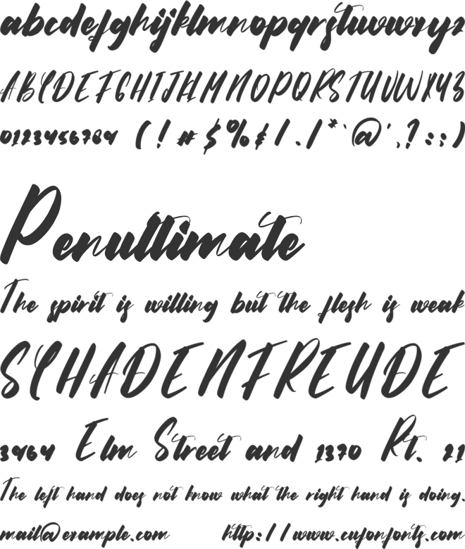 Brookelyn font preview