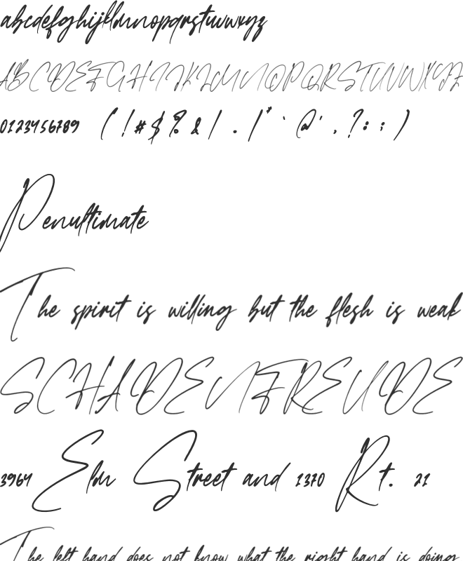Faloney Script font preview