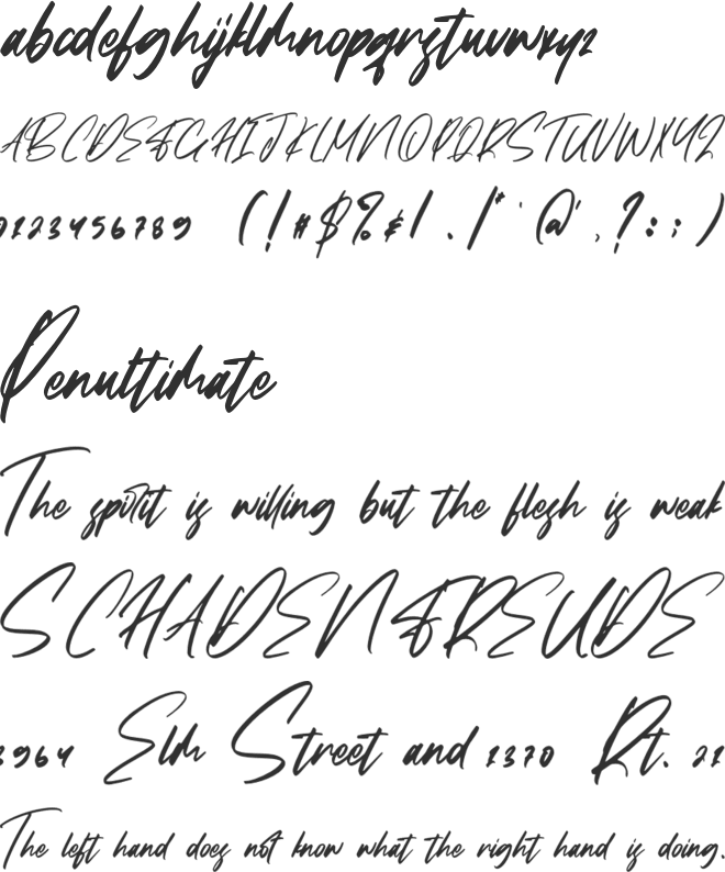 Falcon Harfing font preview