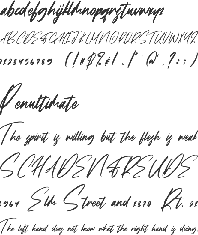 Falcon Harfing font preview