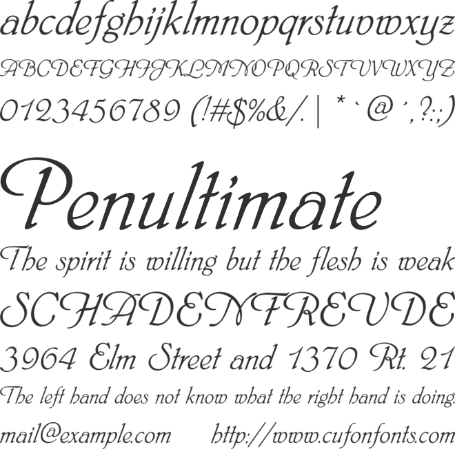 PhyllisD font preview