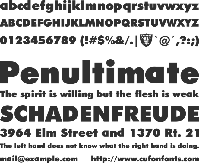 Raiders font preview