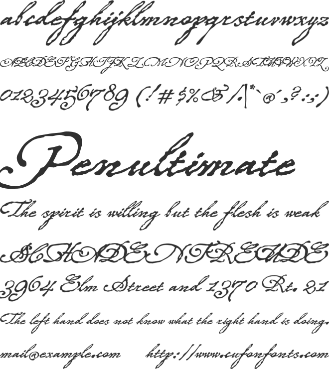 Roanoke Script font preview