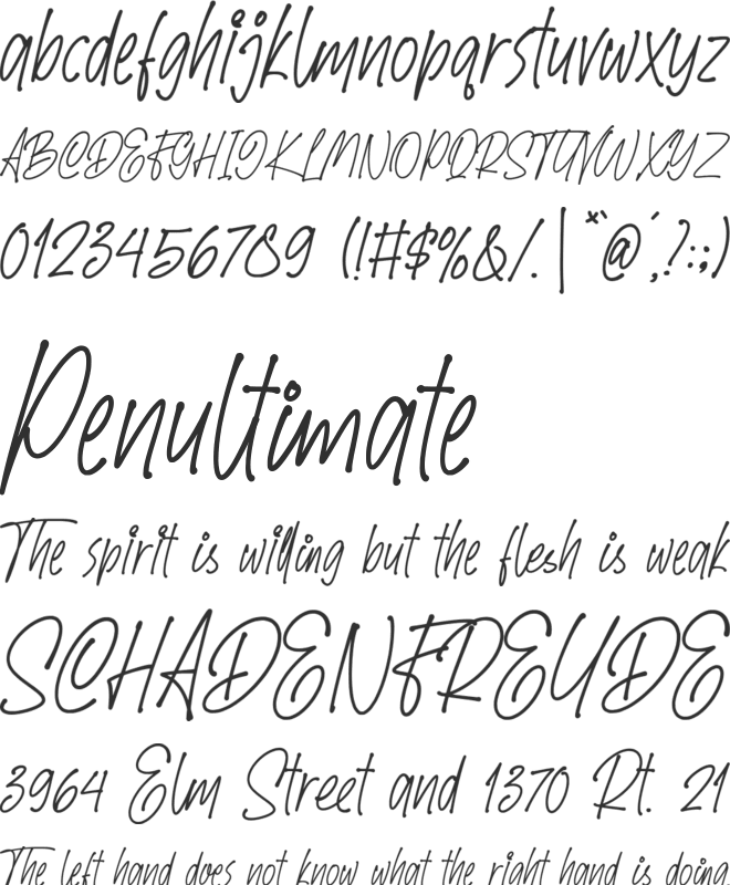 SpeedWritten font preview