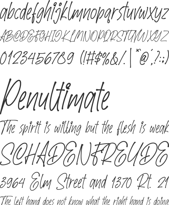 SpeedWritten font preview