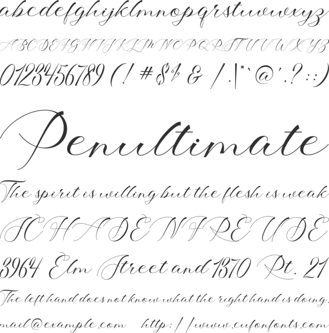 Shophia Script font preview