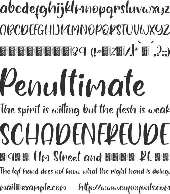 Florida Orange - Personal Use font preview