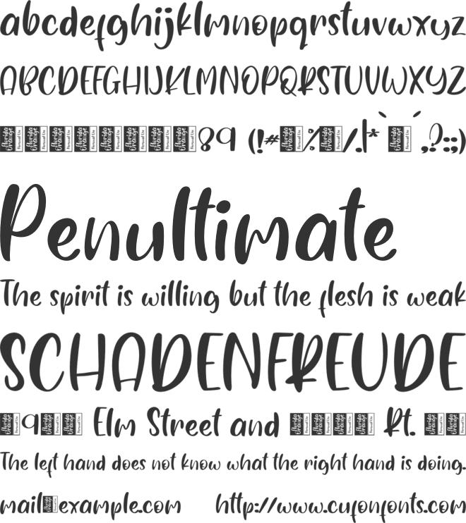 Florida Orange - Personal Use font preview