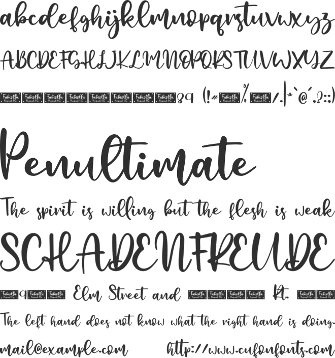 Fabiolla - Personal Use font preview