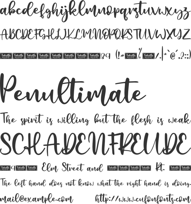 Fabiolla - Personal Use font preview