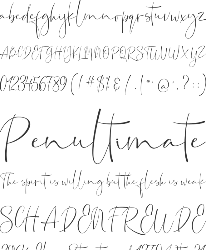 Silver Lovely font preview