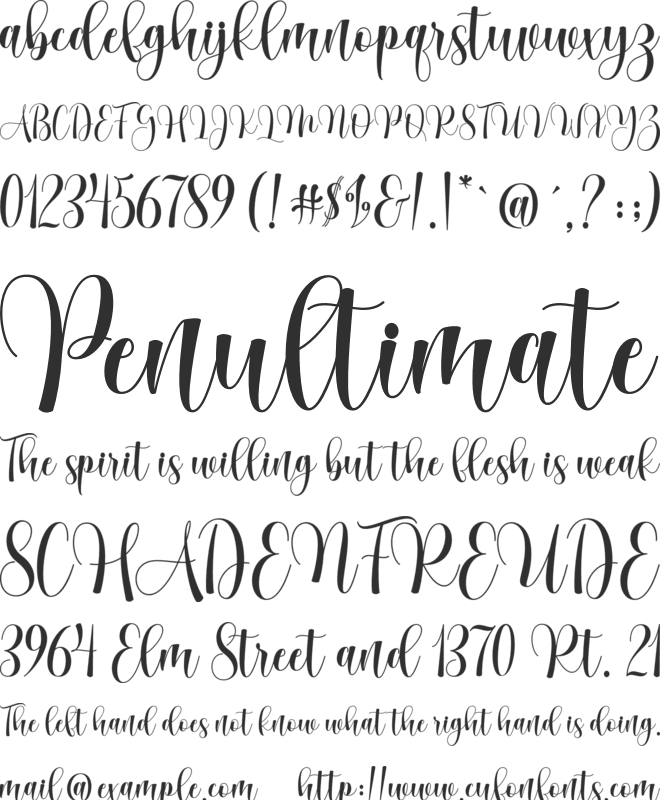 Mathilda Script font preview