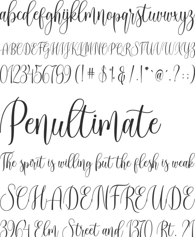 Cinderella Script font preview