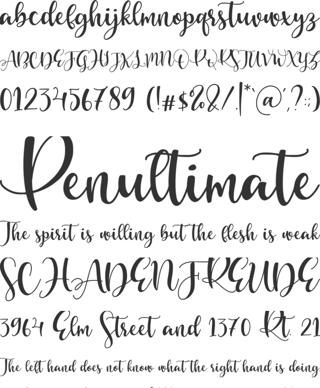 Olivia Mirna font preview