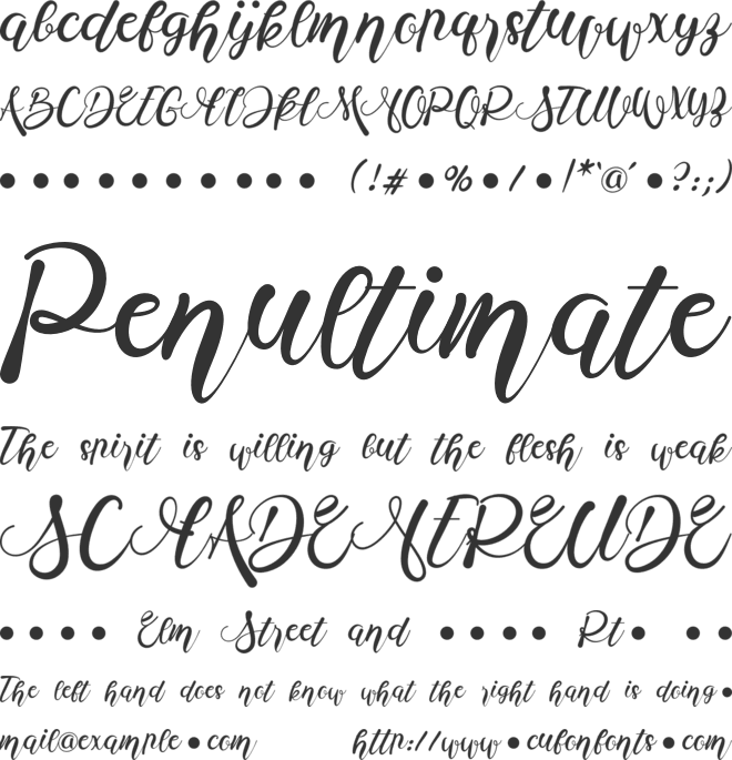 Monica Hamster font preview