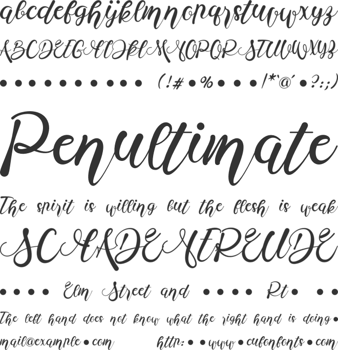 Monica Catty font preview