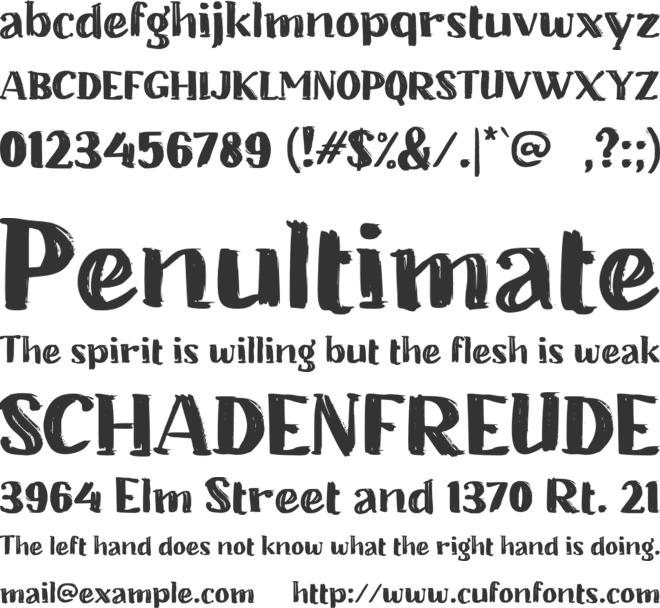 b Brisket font preview