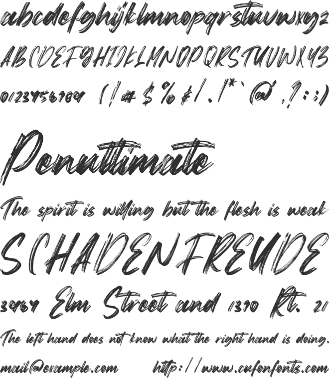 Goodness font preview