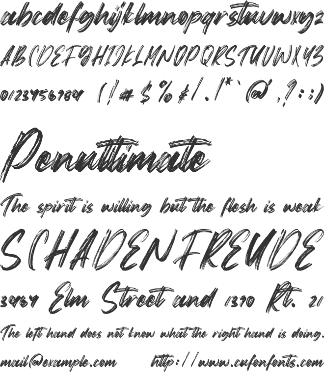 Goodness font preview