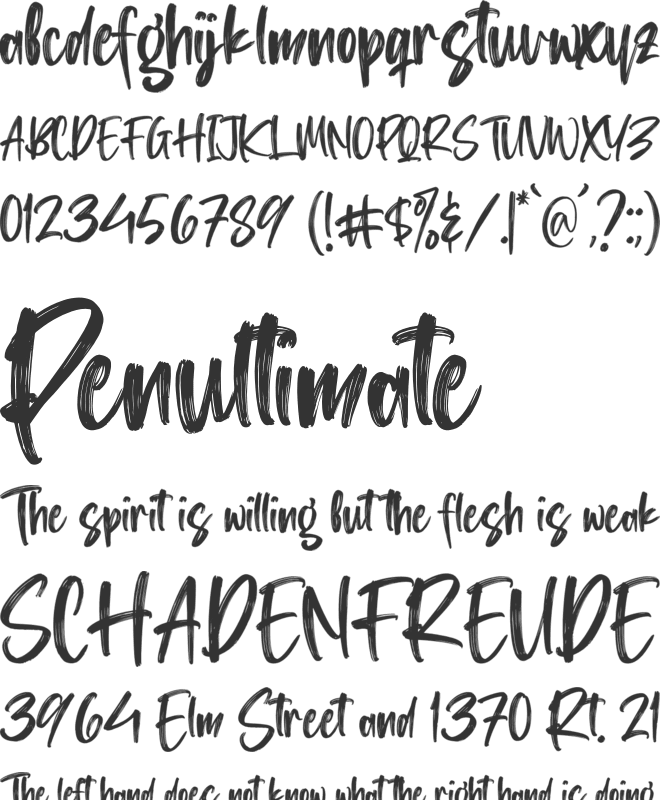 Washington Lifestyle font preview