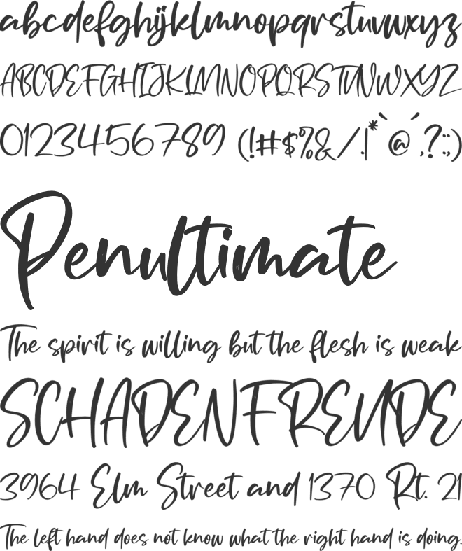 Portofolio Brilliant font preview