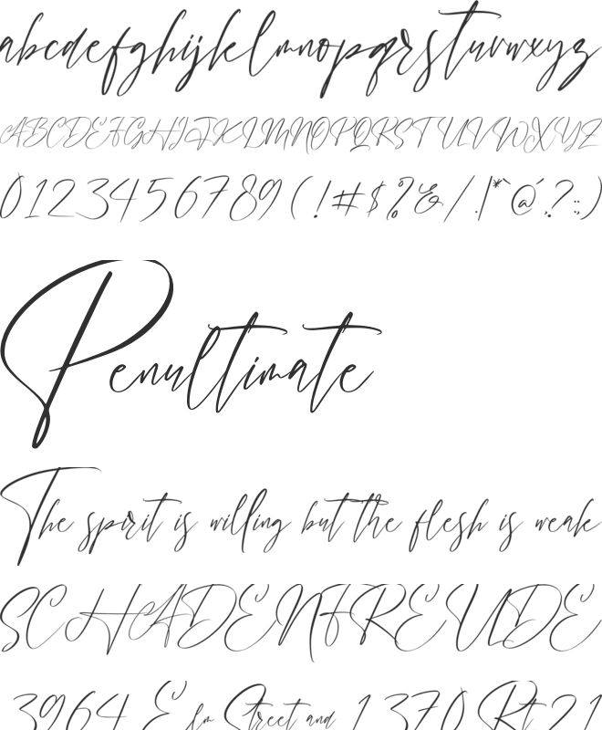 Handover Signature font preview