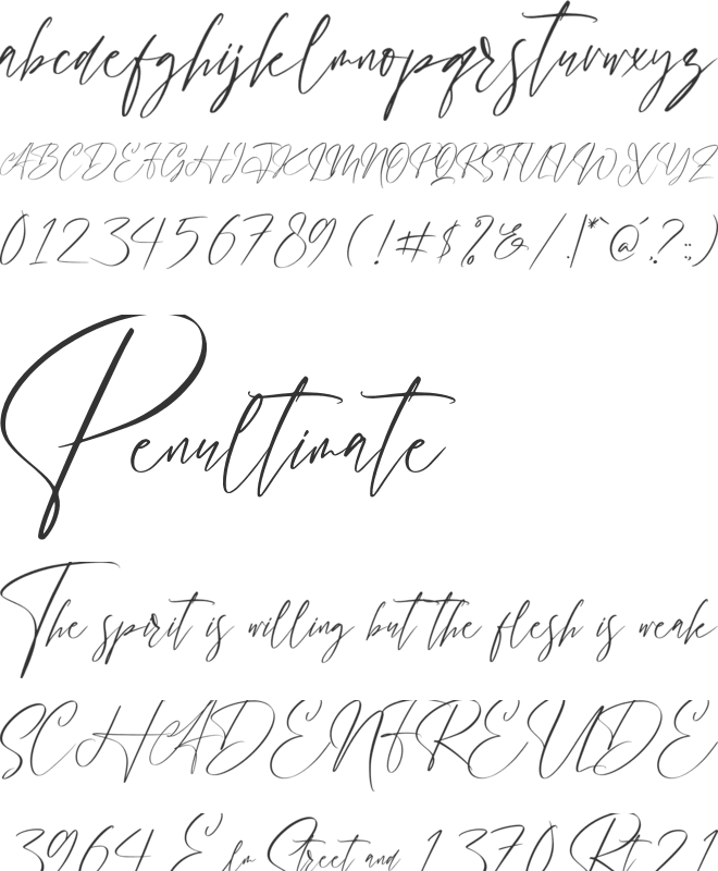 Handover Signature font preview
