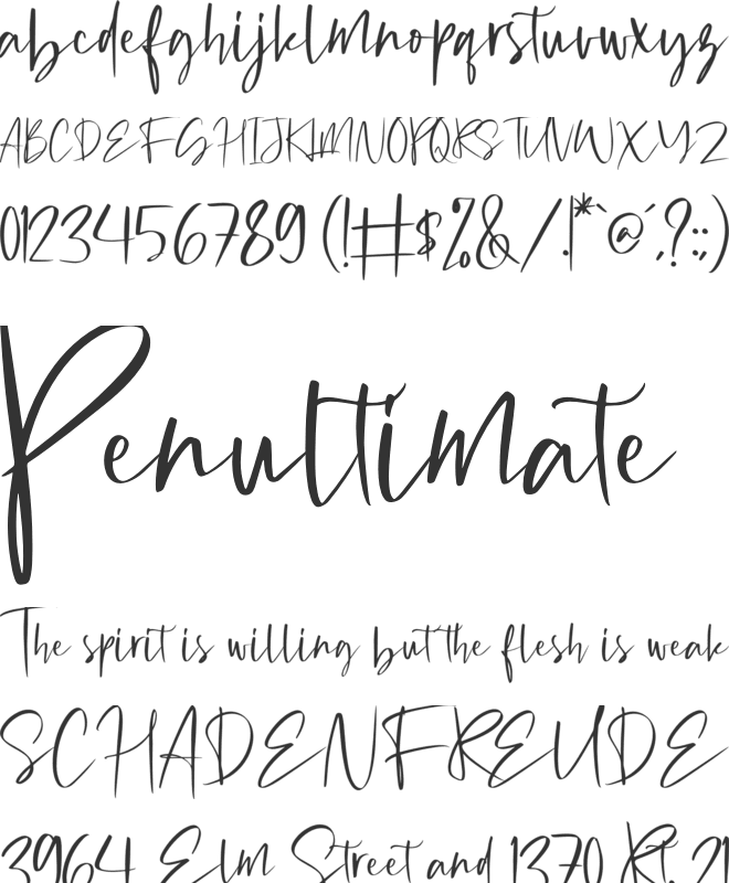 Michigan Custom font preview