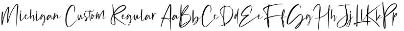 Michigan Custom Regular font