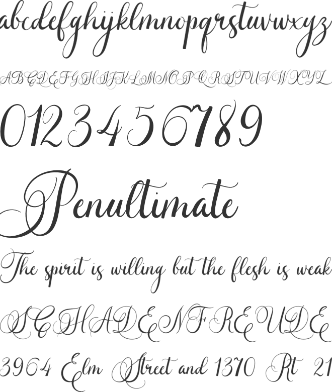 Caliner Script font preview