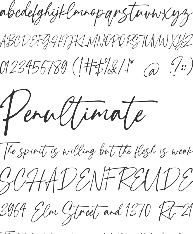 Tropical Country font preview
