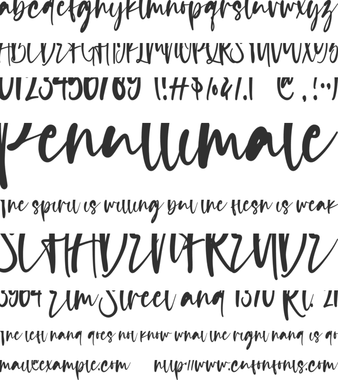 Rich and Famous font preview