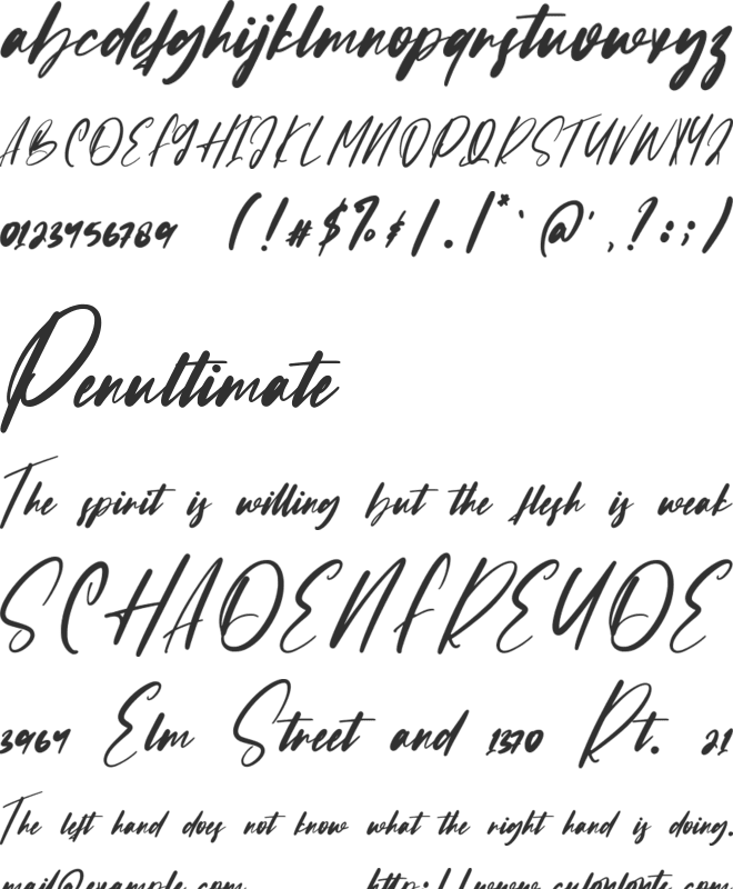 Confidence font preview