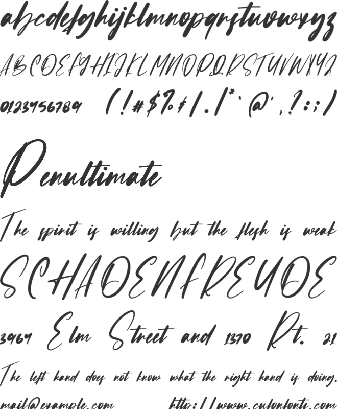 Confidence font preview
