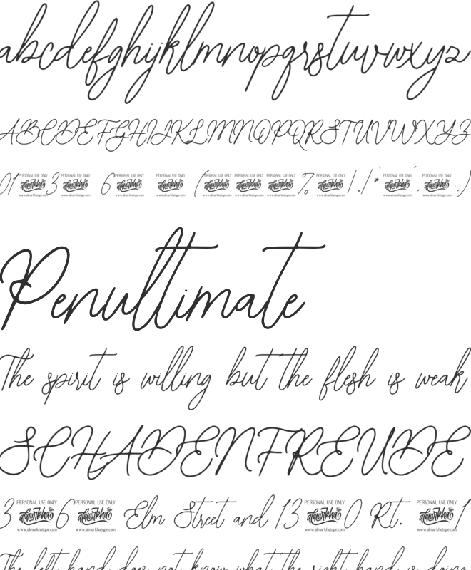 Bearetta font preview