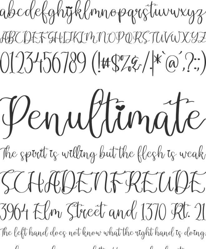 Dandelion Pelangi font preview