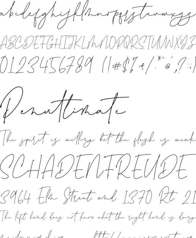 Lovely Amatis Signature font preview