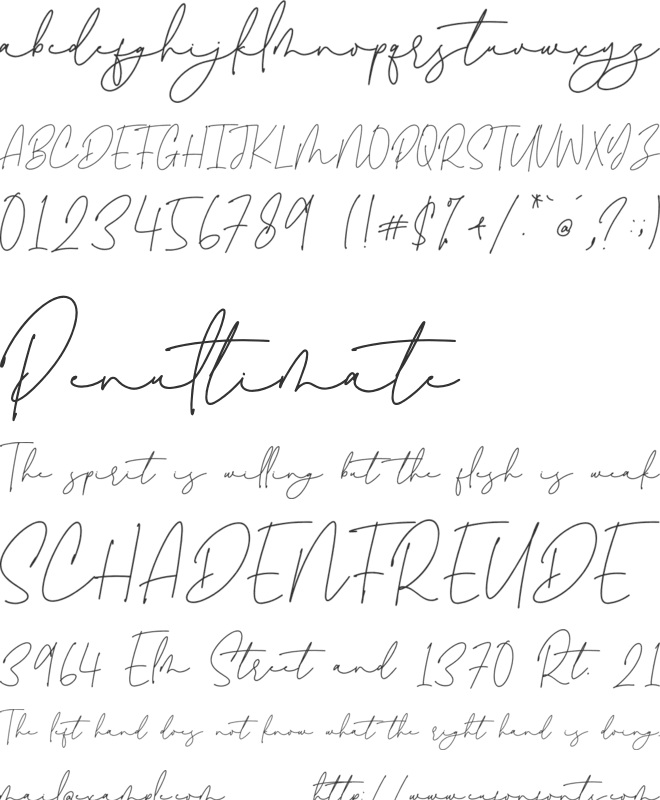 Lovely Amatis Signature font preview